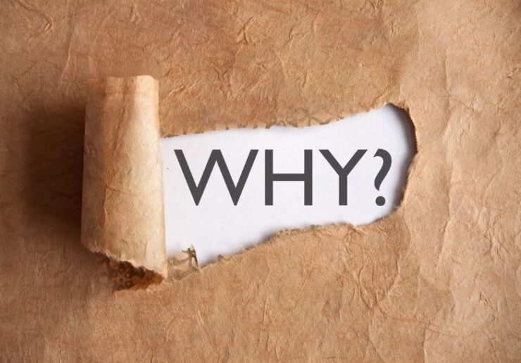 WHYarticlebog